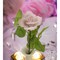 kevinsgiftshoppe Hand Crafted Ceramic Pink Rose-Vase NOT Included  Wedding Decor  Anniversary Decor